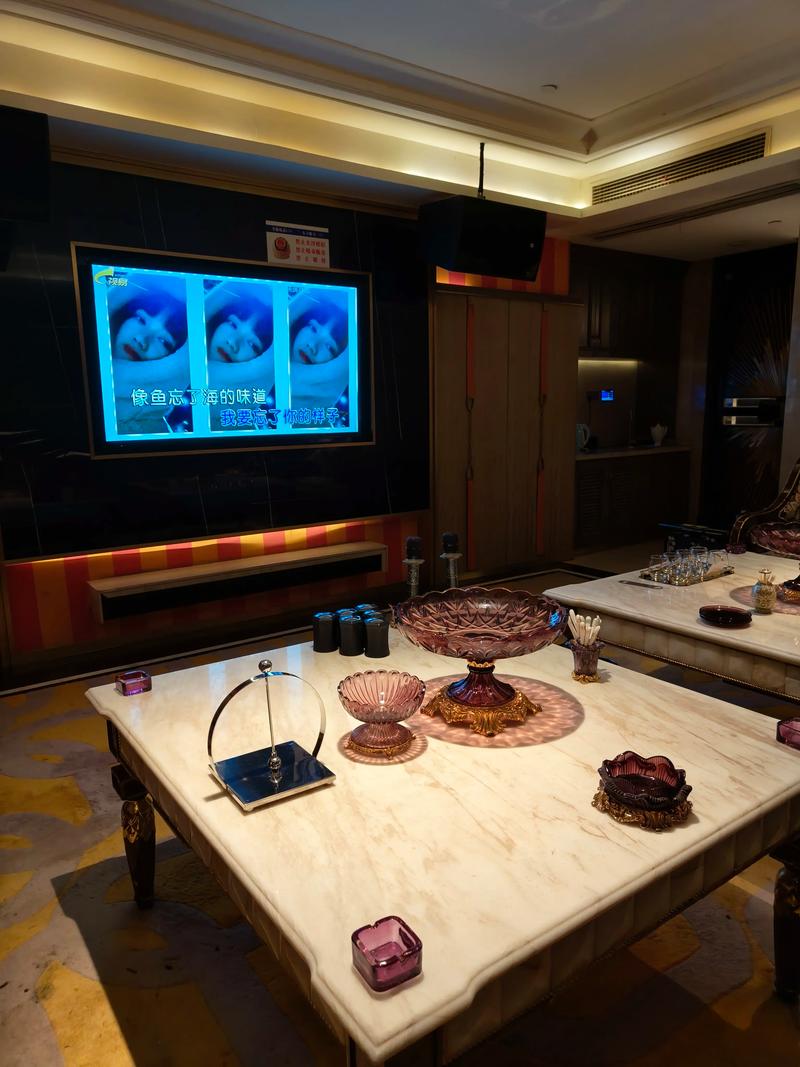 衡阳商务KTV计时攻略-衡南县ktv预定